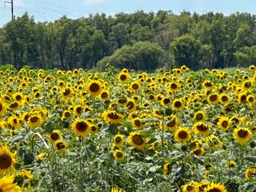 20230709y Burnham Trip Western US Grand Circle Tour Mississippi Missouri Convergence Missouri
