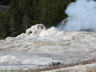 Nikon 20230625z Burnham Trip Western US Grand Circle Tour Eruption Old Faithful Inn Yellowstone National Park Wyoming