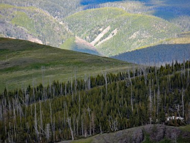 Nikon 20230628x Burnham Trip Western US Grand Circle Tour Mount Washburn Chittenden Road Yellowstone National Park Wyoming