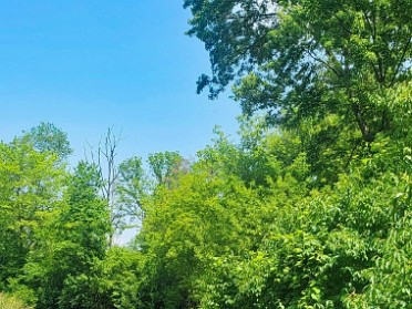 20230620a Bourland Campbell Trip Clinton River Michigan