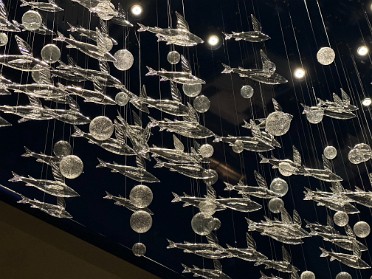 20230920a Burnham Szandzik Trip Flying Fish Disney World Orlando Florida