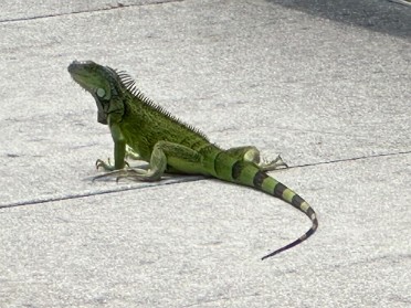 20240821b Burnham Trip Park Stamps Doctor Von D Mizell-Eula Johnson State Park Florida