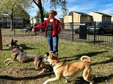 20241028a Bourland Burnham Campbell Trip Dog Park Michigan