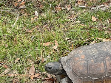 20241118a Burnham Mantey Camping Trip Lunch The Granary Florida