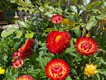 20250421ai Burnham Trip Epic Universe Celestial Park Frosty Moon Florida