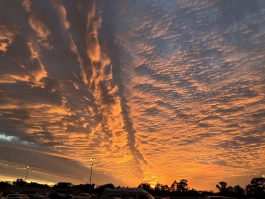 20251230a Burnham Work Dan Animal Kingdom Sunset