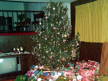19741201a Burnham Holiday Pets Christmas Tree And GiGi