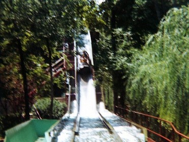 19770601a Burnham Trip Summer Opryland USA Tennessee
