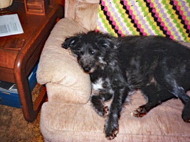 19991214a Burnham Around The House