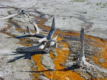 20010702e Burnham Trip Western US Yellowstone National Park - Fountain Paint Pots Wyoming