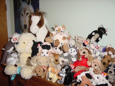 20010827a Burnham House New Pets New Room Decorations