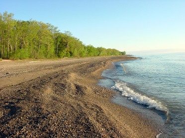20040516a Burnham Trip Camping Lakeport State Park Morning Hike Michigan