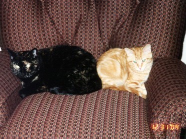 20041231a Blair Pets Puddy Tats