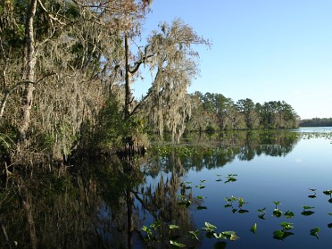 20050219e Burnham Trip Ocala National Forest Lake Eaton Loop Trail Florida