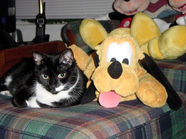 20051210a Burnham Pets Ottoman Buddies