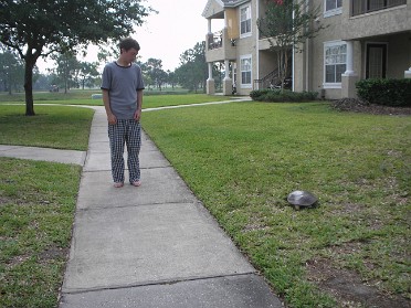 20060529a Burnham House Yard Turtle Soft-Shelled Visitor