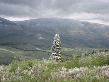 20070529picsz4 Burnham Trip School College Dan Idaho State Field Camp Lost River Field Station Miscellaneous Pix