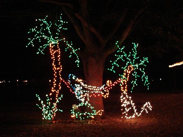 20071214a Burnham Trip Holiday Leesburg Venetian Gardens Christmas Lights Florida