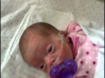 20091125a Campbell Lily Cell Phone Pix