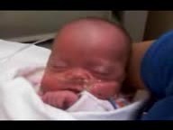 20091230a Campbell Lily Cell Phone Videos