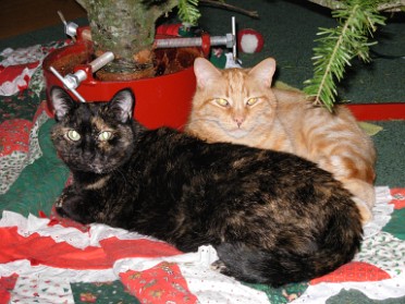 20120114a Blair Pets