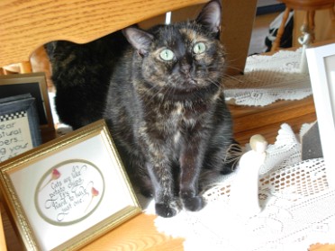 20120314a Blair Pets