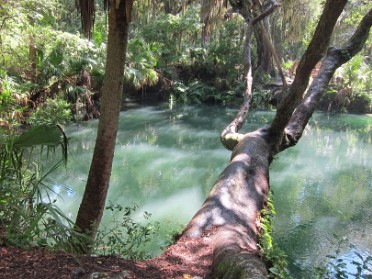 20130804a Burnham Trip Green Springs Park DeBary Hall Deltona DeBary Florida