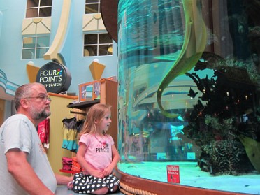 20140620a Burnham Campbell Trip Day On The East Coast Ron Jon's And Lunch At The Shark Pit Florida