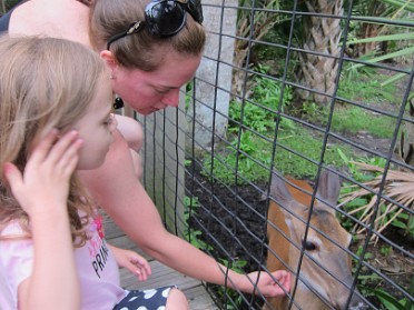 20140620f Burnham Campbell Mantey Trip Day On The East Coast Brevard Zoo Deer Feeding Manny's People Feeding Florida