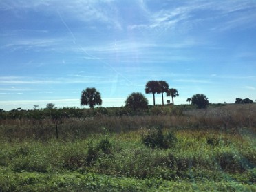 20150116a Burnham Trip Treasure Coast Weekend Drive Views Florida