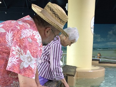 20150417a Burnham Trip Irene Florida Aquarium And Dolphin Tour Florida