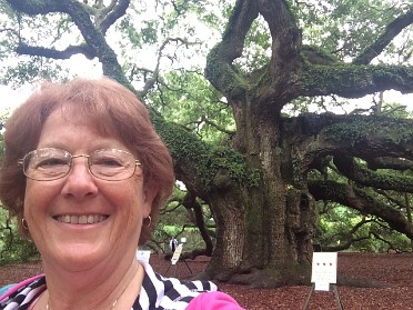 20150625a Burnham Trip Family History Touring The Angel Oak Charleston South Carolina