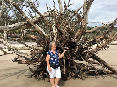 20170902a Burnham Trip Big Talbot Island State Park Boneyard Beach Jacksonville Florida