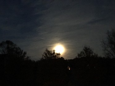 20171103a Burnham Trip Michigan Moonlight Michigan