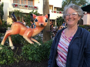 20171111b Burnham Trip Holiday Christmas Disney Hollywood Studios Tree Lighting Florida