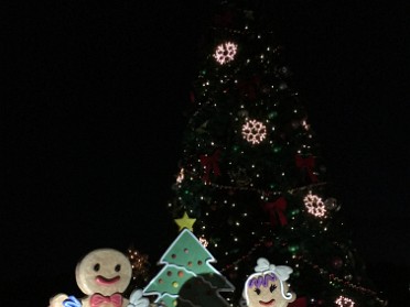 20171127a Burnham Trip Holiday Christmas Celebration Florida