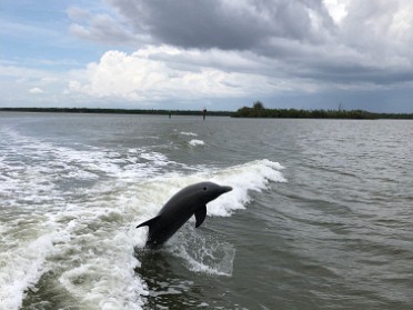 20210401a Burnham Mantey Trip Vacation Camping Everglades National Park Ten Thousand Islands Boat Cruise Everglades City Florida