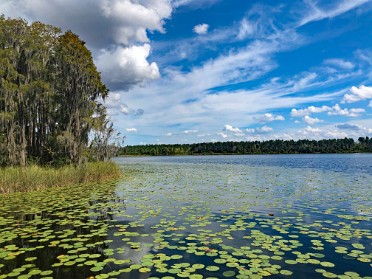 20211023a Burnham Trip Camping Lake Louisa State Park Clermont Florida