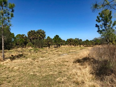 20220216b Burnham Trip Camping Terra Ceia Preserve State Park Terra Ceia Florida