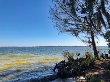 20220302c Burnham Trip Lake June In Winter Scrub State Park Lake Placid Florida