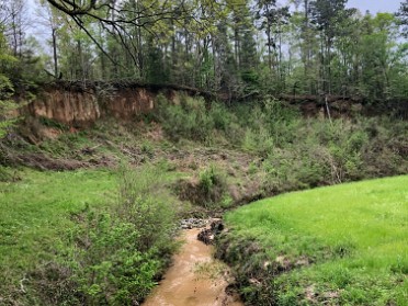 20220406g Burnham Camping Trip Natchez Trace Parkway To Loess Bluff Natchez Mississippi