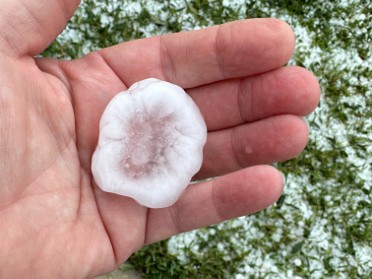 20230425a Burnham House Great Hailstorm Of '23 Clermont Florida