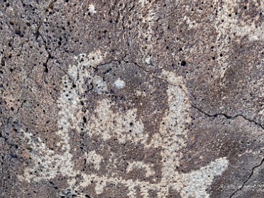 20230528z Burnham Trip Western US Grand Circle Tour Petroglyph National Monument New Mexico