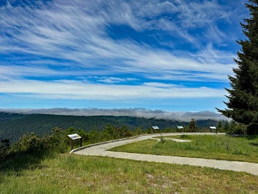 20230610m Burnham Trip Western US Grand Circle Tour Redwood Creek Overlook Redwood National Park California