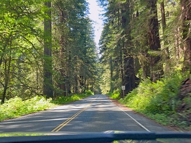20230610t Burnham Trip Western US Grand Circle Tour Newton B Drury Scenic Parkway Prairie Creek Redwoods State Park California