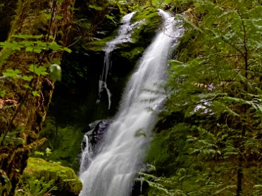 20230619x Burnham Trip Western US Grand Circle Tour South Shore Trail And Merriman Falls Lake Quinault Area Olympic National Park Washington