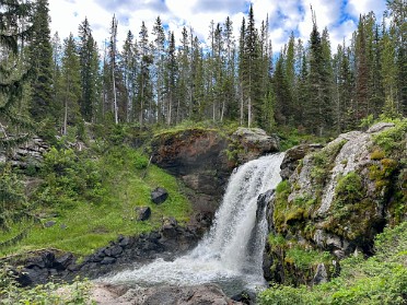 20230625p Burnham Trip Western US Grand Circle Tour Moose Falls Yellowstone National Park Wyoming