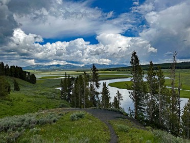 20230628s Burnham Trip Western US Grand Circle Tour Hayden Valley Yellowstone National Park Wyoming