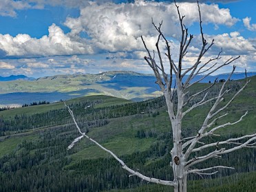 20230628x Burnham Trip Western US Grand Circle Tour Mount Washburn Chittenden Road Yellowstone National Park Wyoming