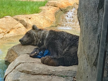 20230816a Burnham Fletcher Trip Riverbanks Zoo And Garden South Carolina